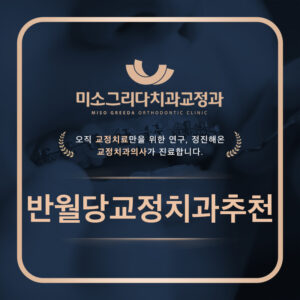 반월당교정치과추천